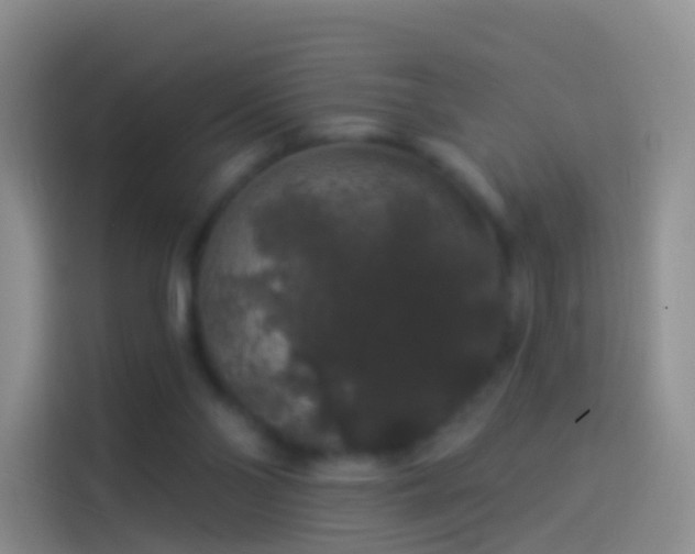 X0000114120110200910131412