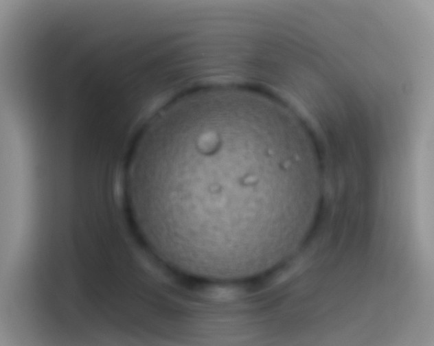 X0000114120115200910131412