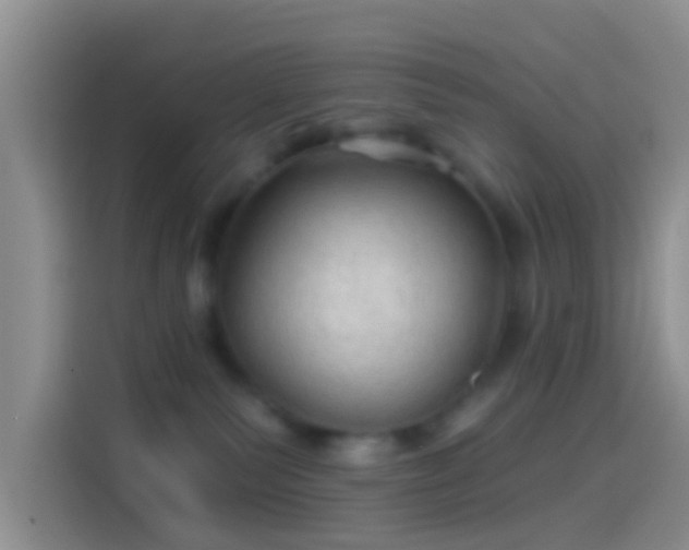 X0000114120135200910131411