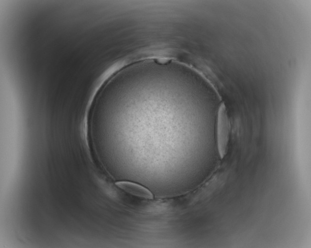 X0000114120148200910131411