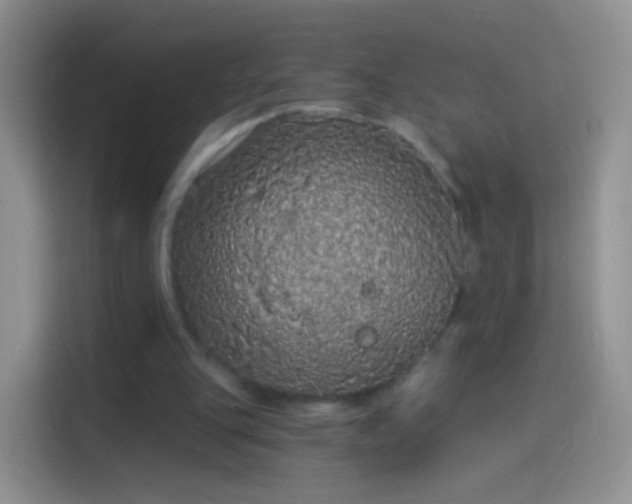 X0000114120151200910131411