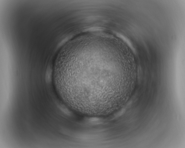 X0000114120153200910131411