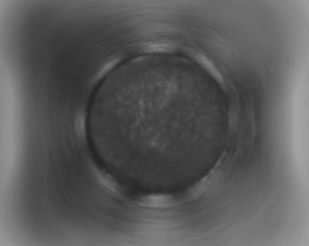 X0000114120154200910131411