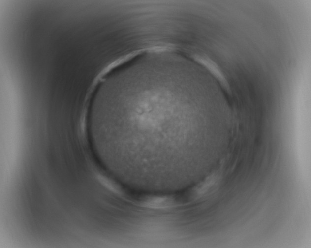 X0000114120155200910131411