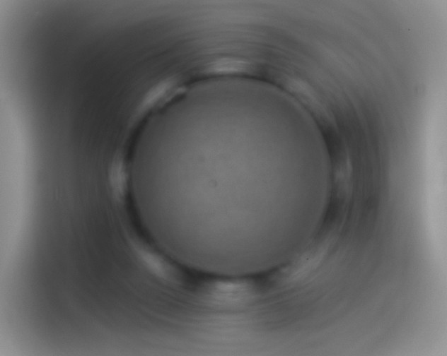 X0000114120160200910131411