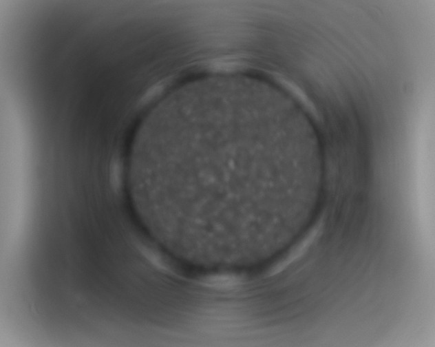 X0000114120161200910131411