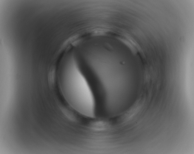 X0000114120163200910131411