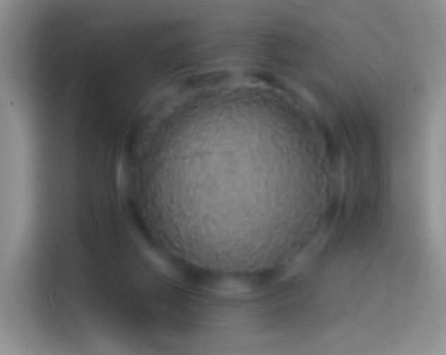 X0000114120166200910131411