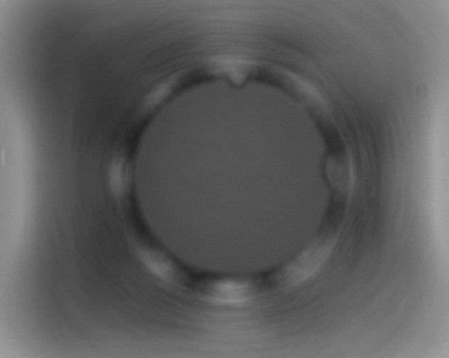 X0000114120168200910131411