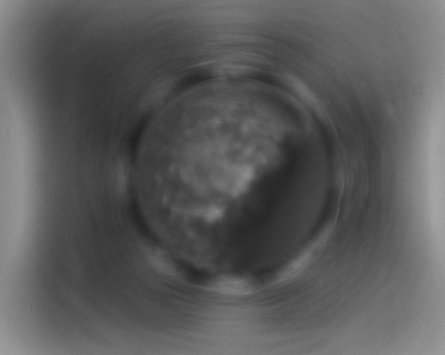 X0000114120169200910131411