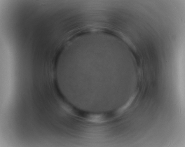 X0000114120170200910131411