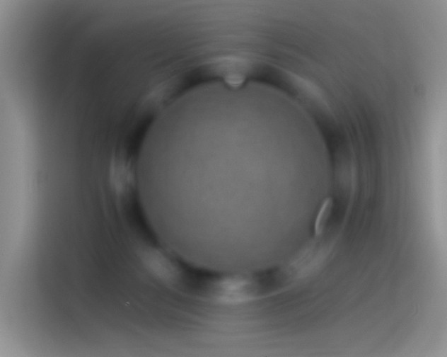 X0000114120172200910131411