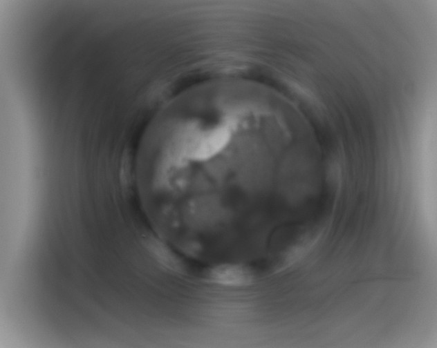 X0000114120181200910131411