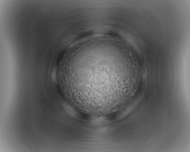 X0000114120185200910131411