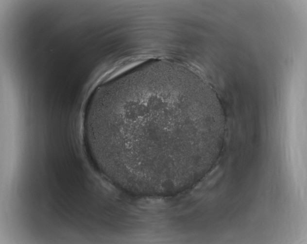 X0000114120194200910131411