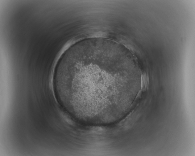 X0000114120195200910131411