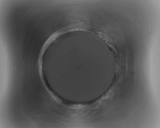 X0000114120197200910131411