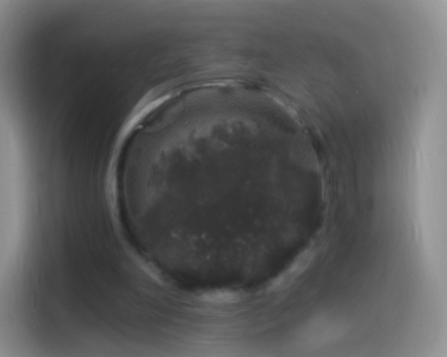 X0000114120198200910131411