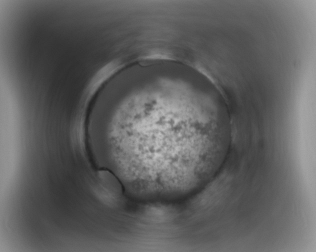 X0000114120199200910131411