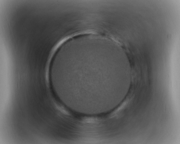 X0000114120200200910131411