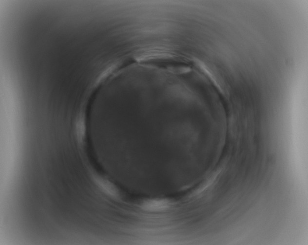 X0000114120202200910131411