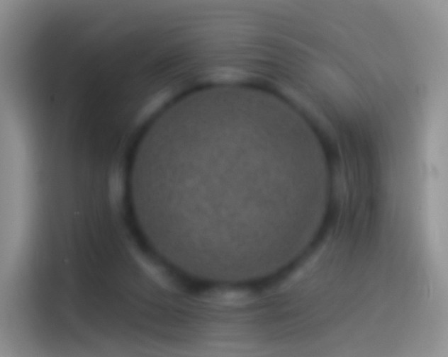 X0000114120208200910131410