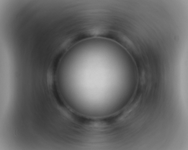 X0000114120210200910131410