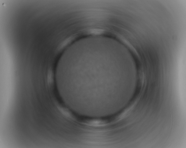 X0000114120212200910131410