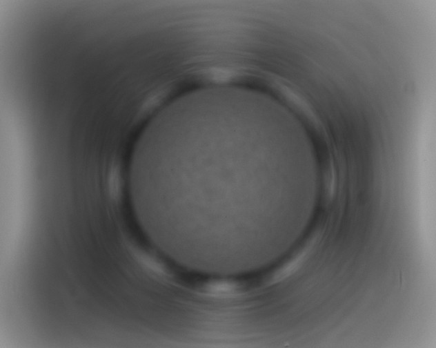 X0000114120216200910131410