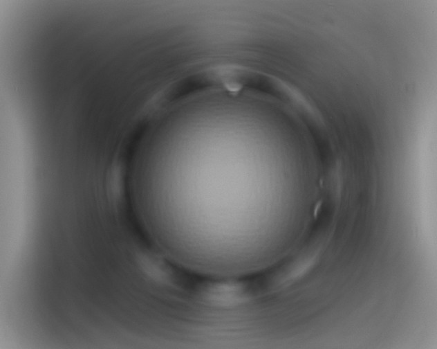 X0000114120217200910131410