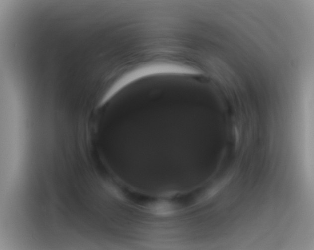 X0000114120219200910131410