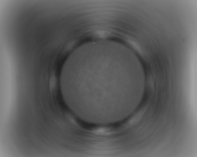 X0000114120220200910131410