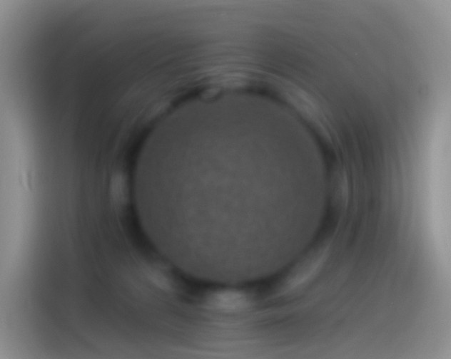 X0000114120224200910131410