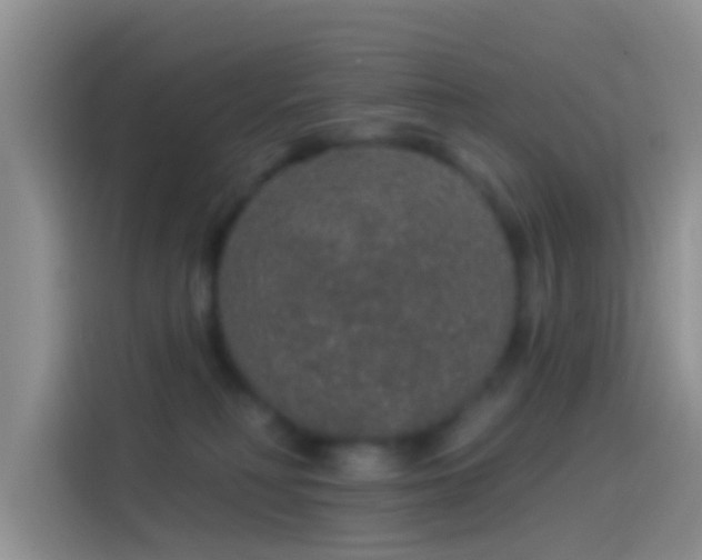 X0000114120230200910131410