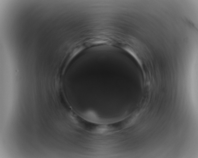 X0000114120231200910131410