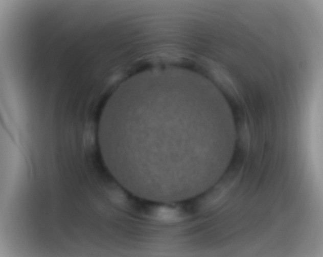 X0000114120232200910131410