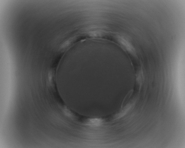 X0000114120233200910131410