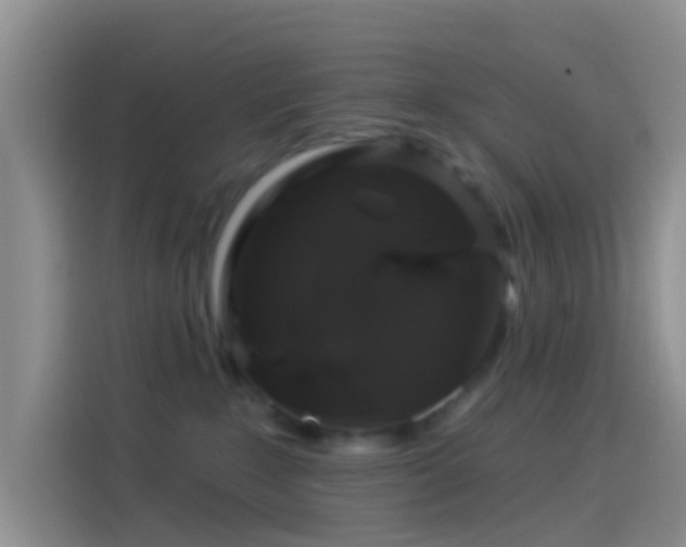 X0000114120235200910131410