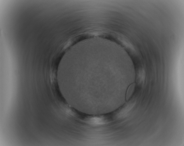 X0000114120236200910131410