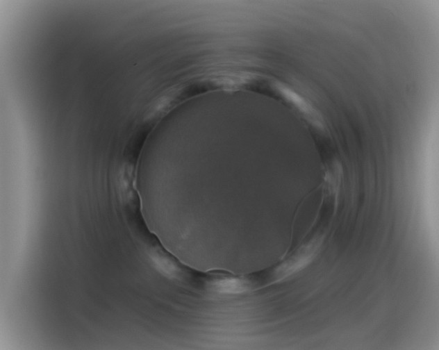 X0000114120237200910131410