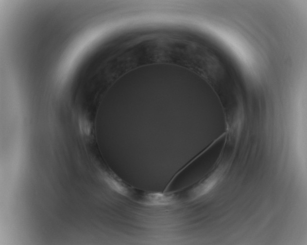 X0000114120239200910131410