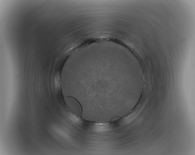 X0000114120240200910131410