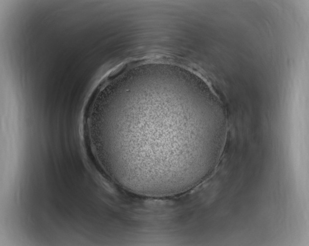 X0000114120242200910131409