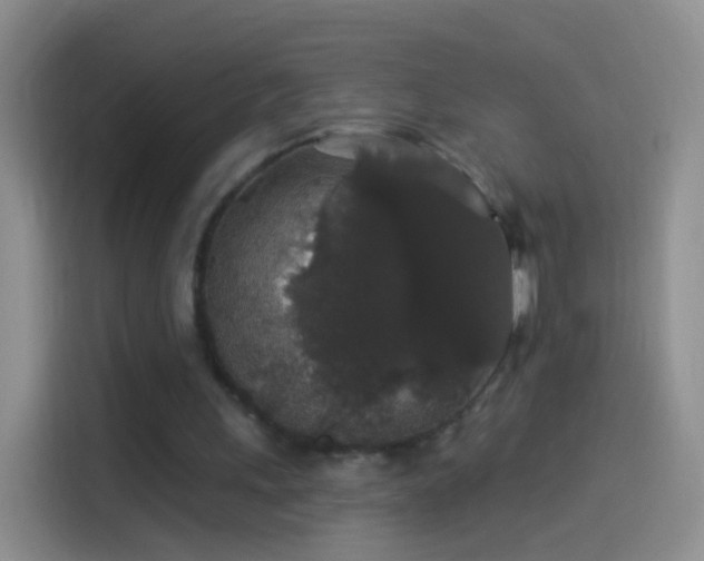 X0000114120243200910131409