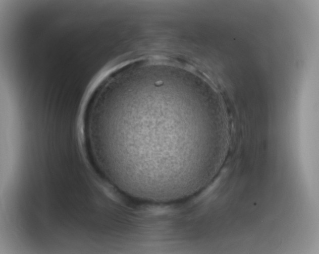 X0000114120246200910131410