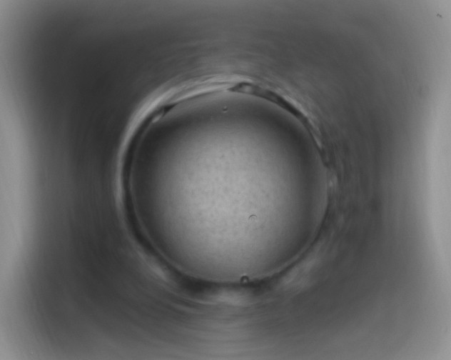 X0000114120248200910131410