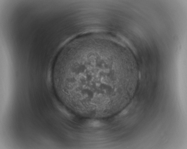 X0000114120249200910131410