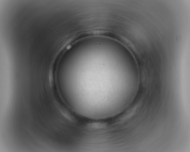 X0000114120251200910131410