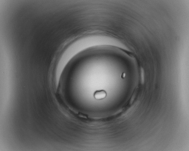 X0000114120252200910131410