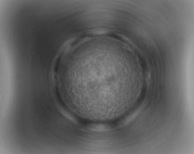 X0000114120254200910131410